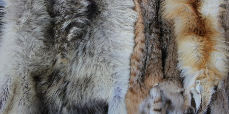 a photo of different fur pelts from different animals