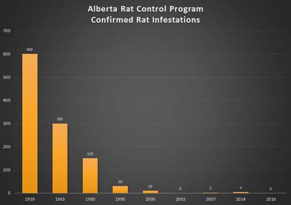 a graph illustrating the number of rat infestations declining over the years