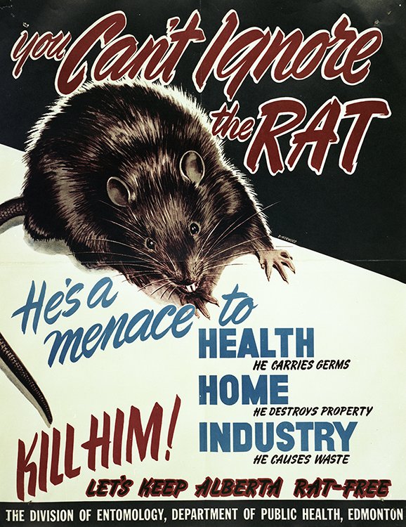 an advertisement for the destruction of rats featuring a picture of a rat with the prompt to kill it