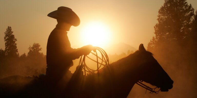 an epic shot of a cowboy atop his horse with a lasso and the sun shining upon them