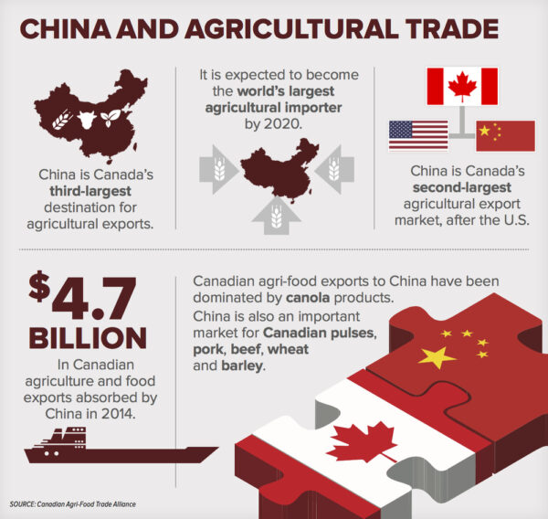 infographic showing various stats related to china being canadas third largest importer for beef