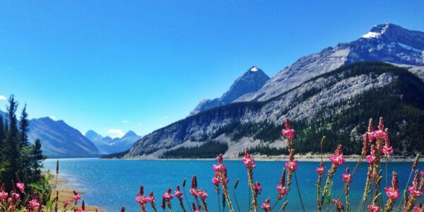 a beautiful shot of the spray lakes campground showcasing crystal blue water and snow peaked mountains