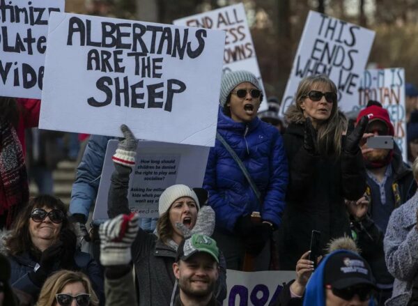 a photo of protestors shouting and holding signs that read albertans are the sheep