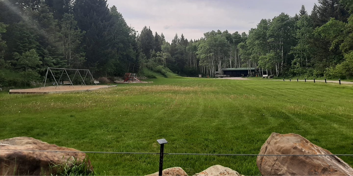 a photo of firemans park in bellevue with a swing set on the left surrounded by an open green field and trees