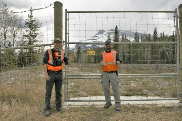 parks canada staff wearing orange safety vests holding their thumbs up in front of an electric fence 