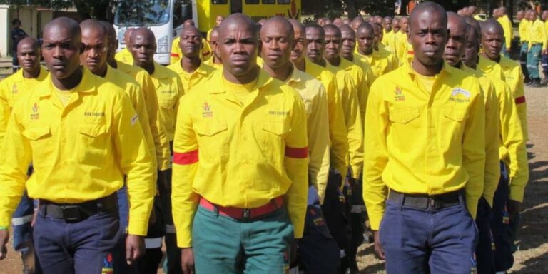 firefighters from south africa in their yellow uniforms standing in formation