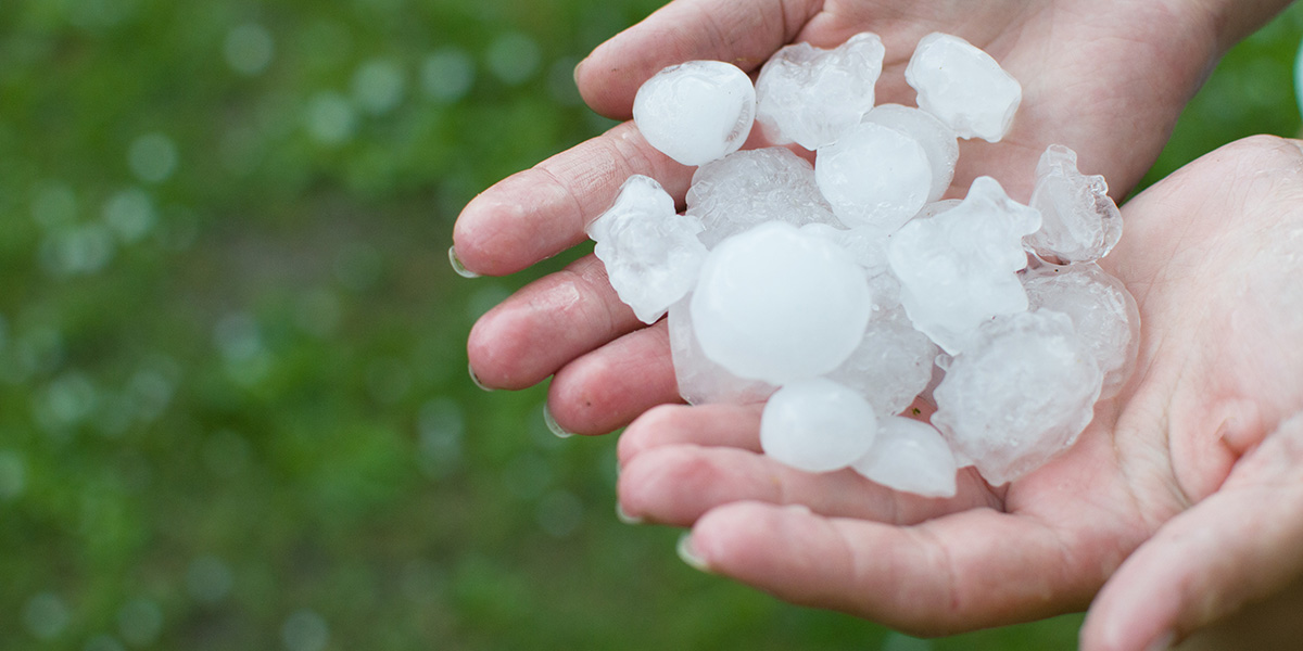A photo of hailstone in a person cupped hands