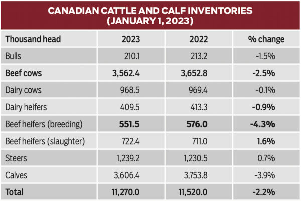 a chart outlining the decline in various cattle inventories between 2022 and 2023 and percent change