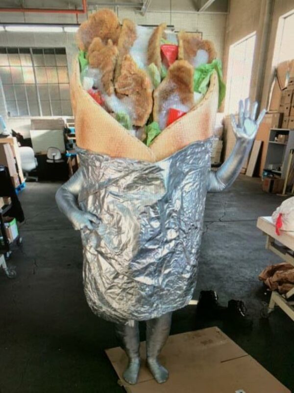 a picture of someone wearing the donair costume