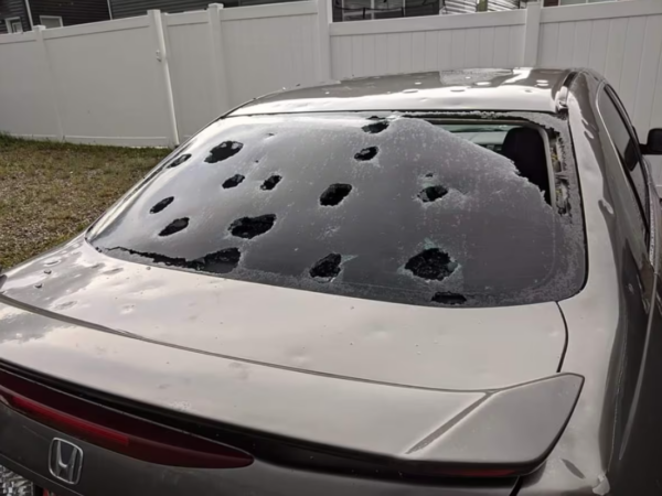the rear windshield of a vehicle with multiple baseball sized holes in it from a severe hail storm