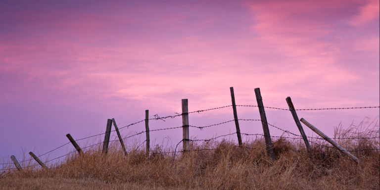 photo of a barbed wire fence at dusk