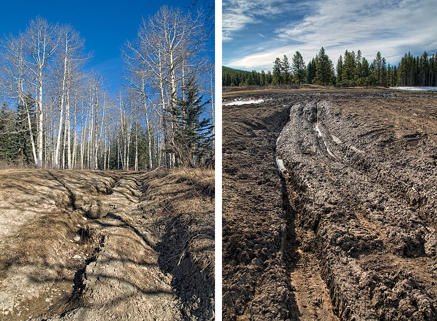 Two photos showing extensive trail damage by OHV users in Bighorn Country Alberta.