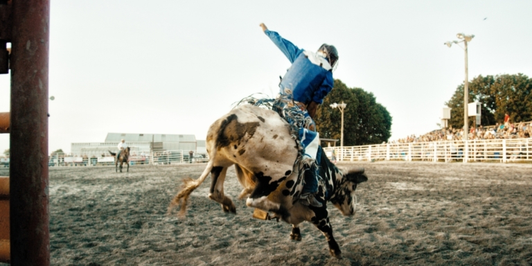 a photo of a person on top of a bucking bull at a rodeo