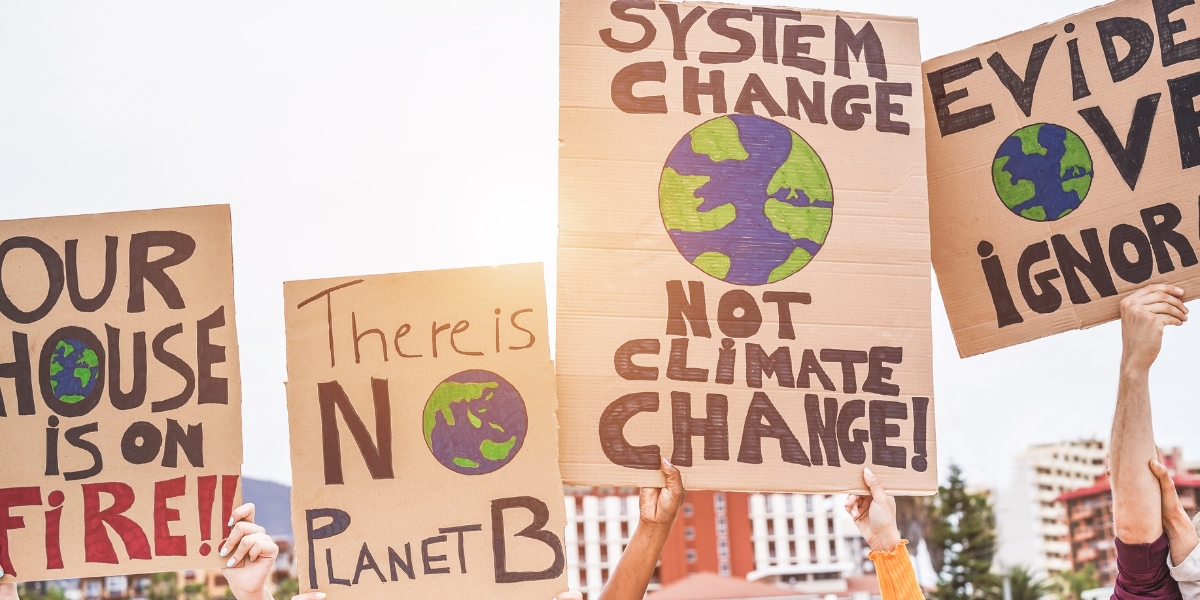 hands lifting signs at a climate change protest