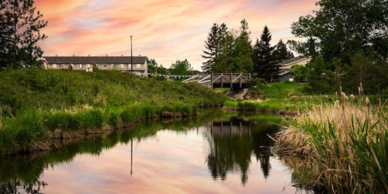 a sunset photo of nose creek park with the creek surrounded by lush greenery