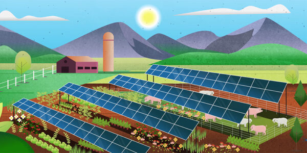 A conceptual diagram of a mixed agrivoltaic farm