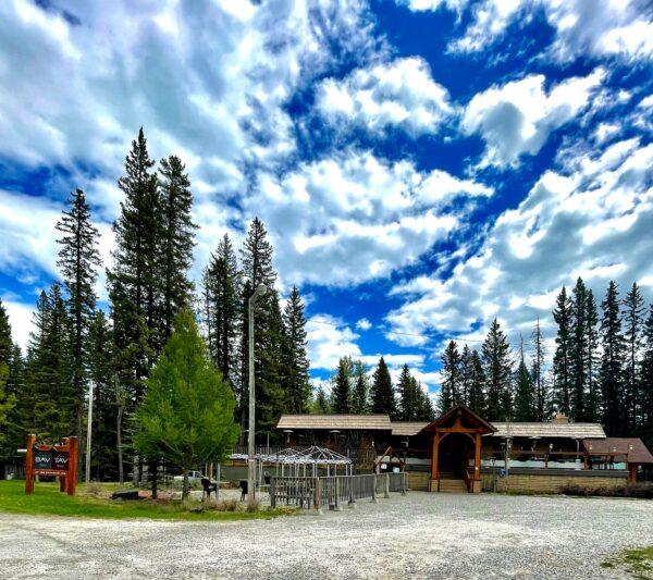 the bav and tav exterior surrounded by tall evergreen trees and a blue sky with clouds above