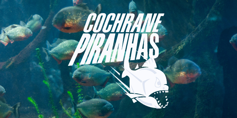a background of swimming piranhas with the cochrane swim clubs logo overlay