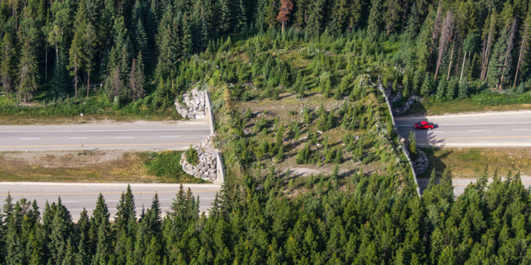 Aerial view of a wildlife overpass in Banff National Park