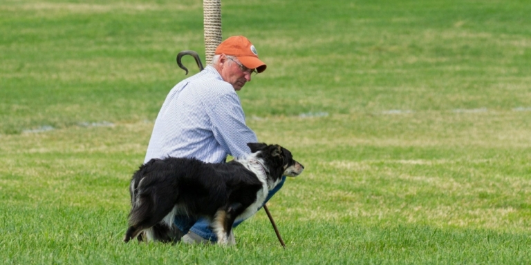man with border collie in field