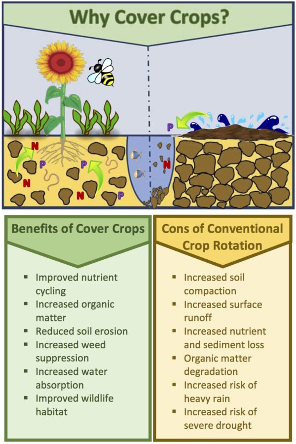 Chart showing the pros of cover cropping verses the cons of conventional farming