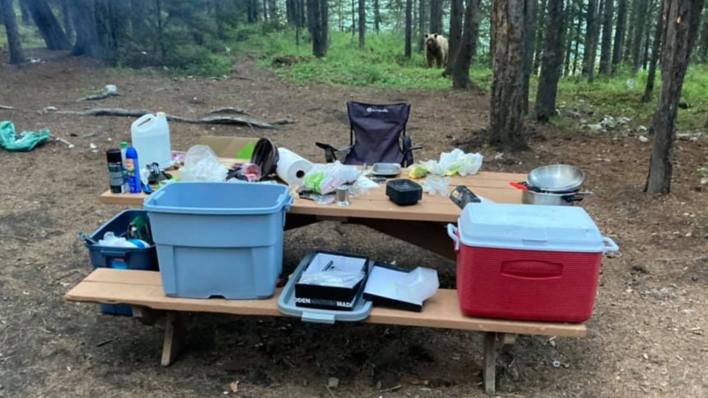 Photo of a messy picnic table in a campground with a bear in the background