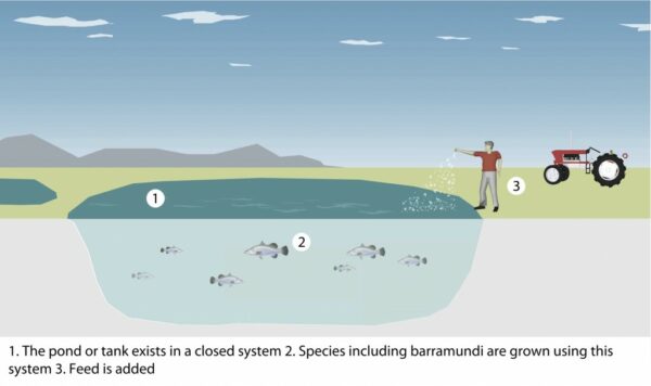 An illustration of a closed aquaculture system | GoodFishBadFish