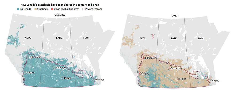 Map showing prairie habitat loss