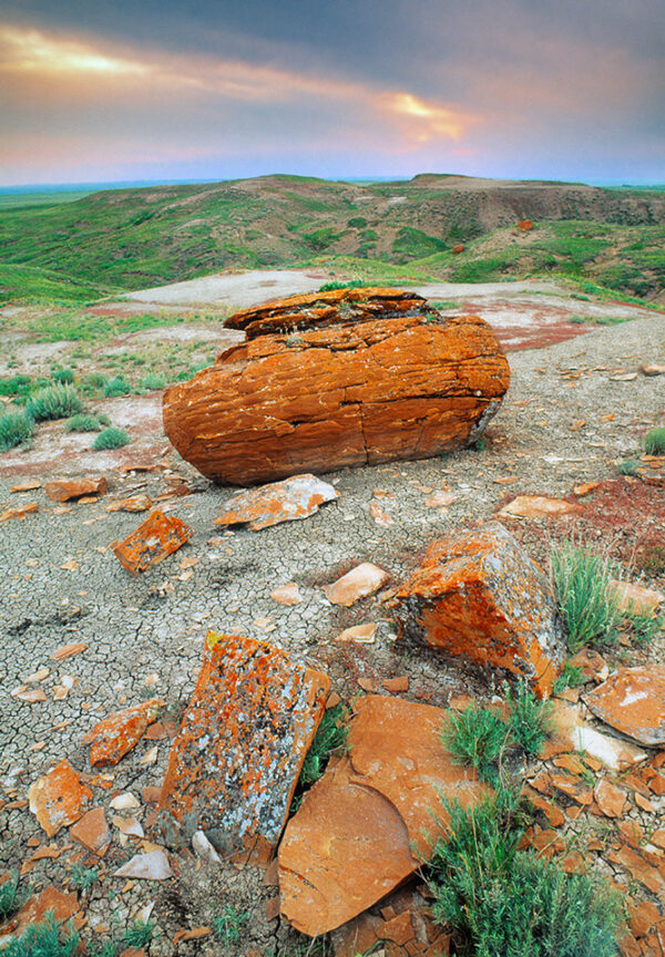 large round red rocks scattered across a prairire landscape