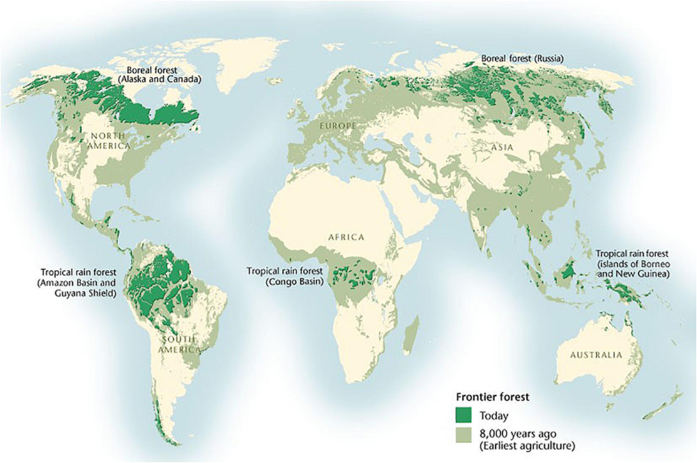 Map of the world showing currented forested areas
