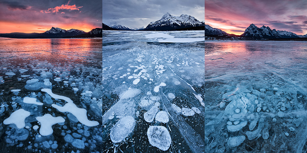 Ice bubbles on Abraham Lake | Darwin Wiggett | oopoomoo
