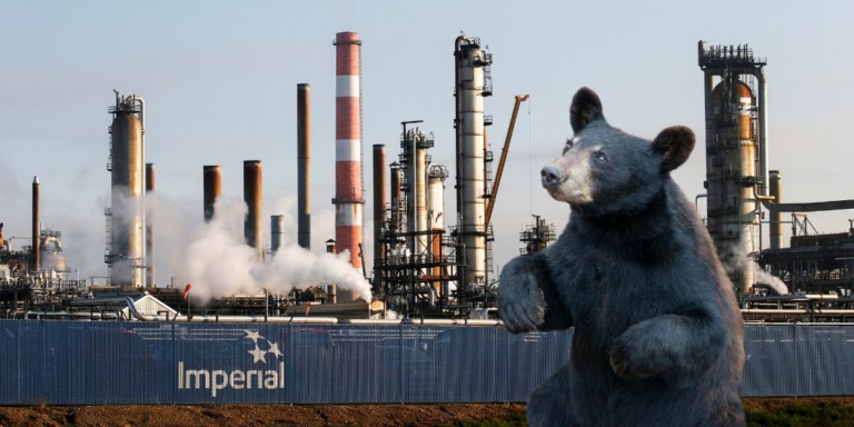 Bear and Imperial Oil Refinery