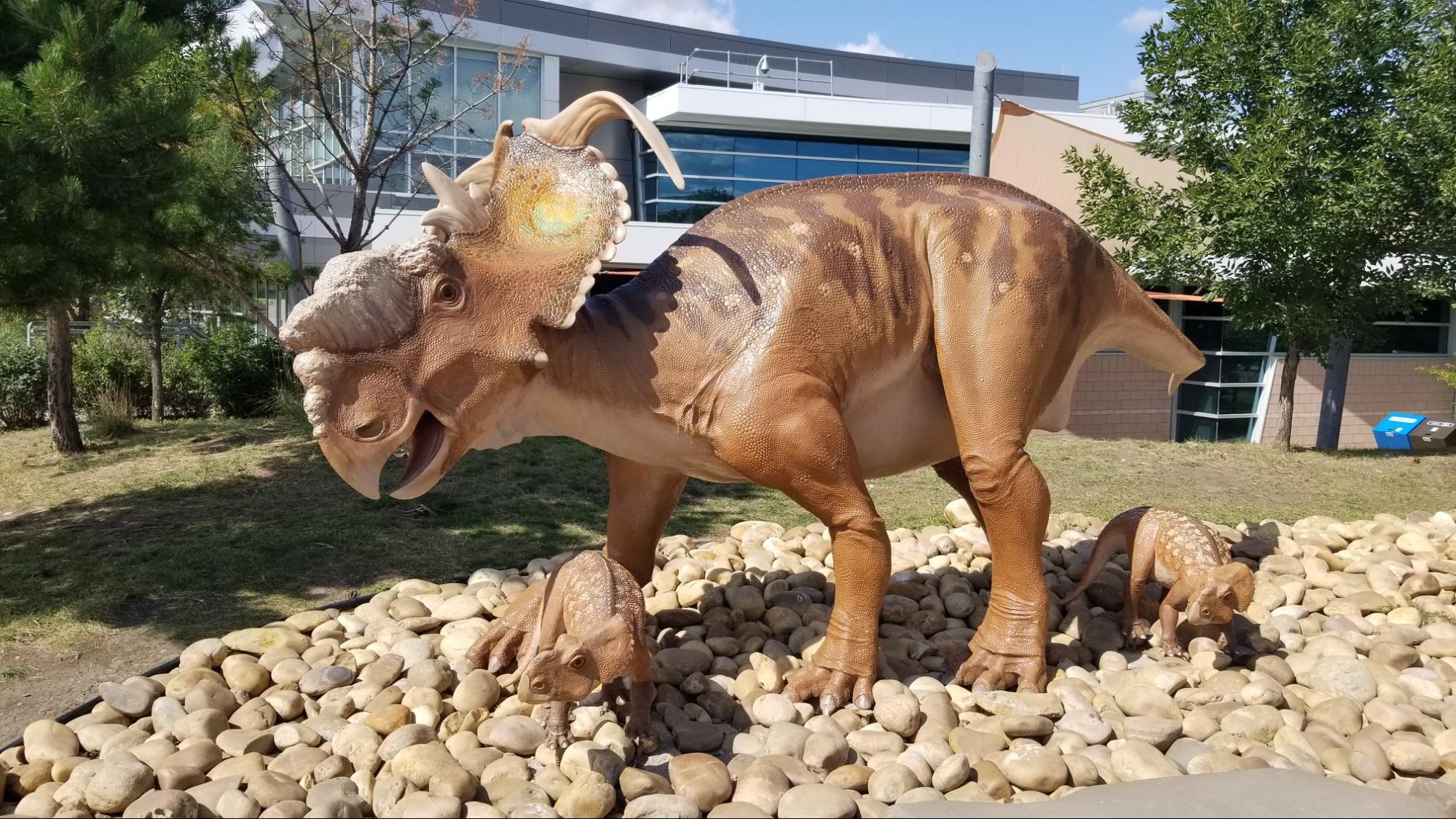 A figure of a Pachyrhinosaurus on display outside of the Royal Tyrrell Museum | Royal Tyrrell Museum