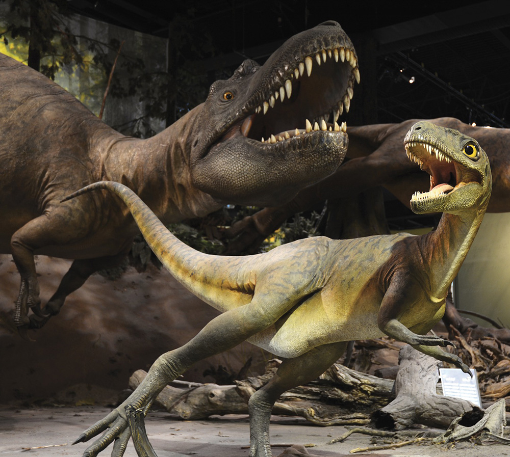 Sleep with the dinosaurs at The Tyrrell Museum… if you dare! | Drumheller Tourism