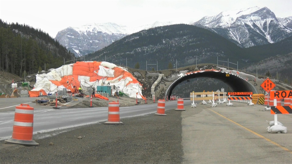 A $17.5 million overpass on the Trans-Canada Highway near Highway 1X. The project was stalled for the winter due to design and safety concerns | CTV News Calgary