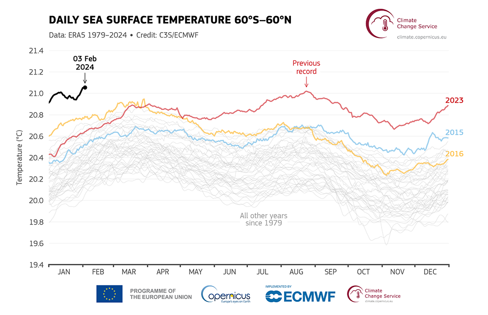 2024 has already recorded the highest daily sea surface temperature recorded | Copernicus Climate Change Service
