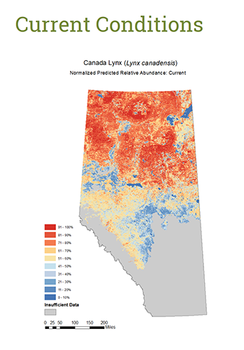 A map of Alberta showing the density of lynx populations. The map indicates that the lynx population in the north is much denser than in the south | Alberta Diversity Monitoring Institute