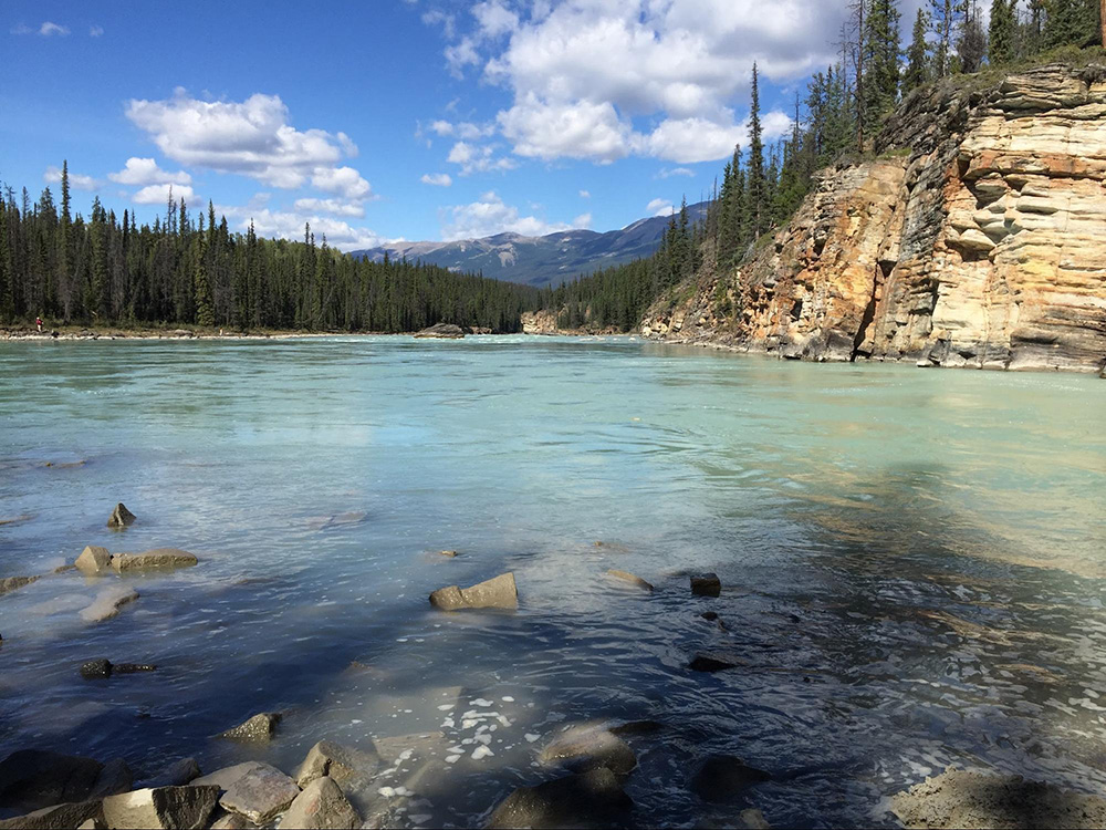 The Athabasca River below the Athabasca Falls in Jasper National Park | Brandi Newton | Canadian Encyclopedia
