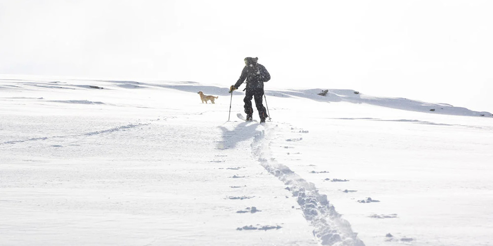 Lorne Short skiing with Messy, his dog | VIMFF