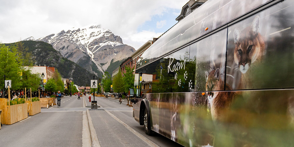 Roam Transit helps reduce traffic congestion by taking visitors to popular destinations in Banff National Park | Roam Transit
