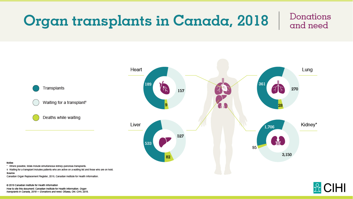 A infographic showing what organ transplants occurred in Canada in 2018  CIHI_ICIS  X