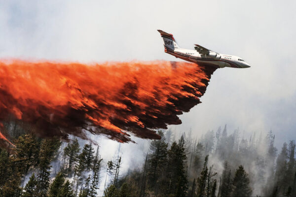 Air tankers can drop water, fire retardant, or fire-foam on wildfires to limit their spread until ground crews arrive  Prince George Citizen