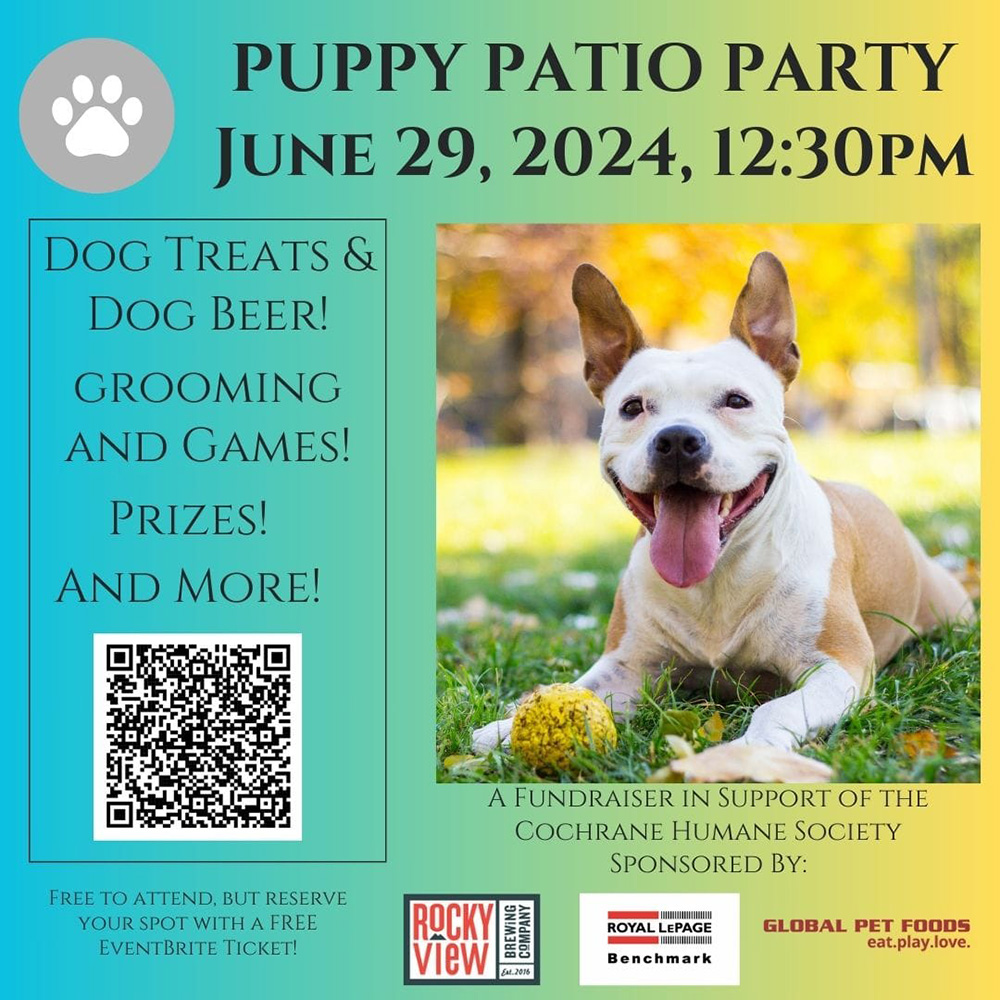 The Puppy Patio Party poster | Rocky View Brewing Co.
