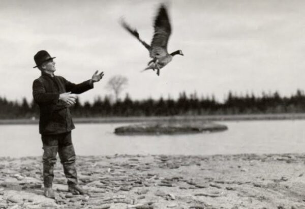 Jack Miner, releasing a banded goose | Kingsville Times