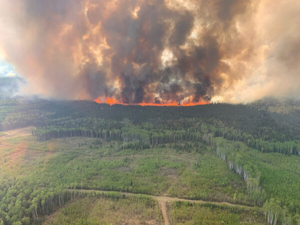 Wildfires in Alberta burned ten times more area in 2023 than the five-year average  Alberta Wildfire  Government of Alberta  CityNews Edmonton