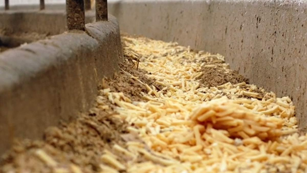 Unused fries used for cattle feed | Canadian Food Focus 