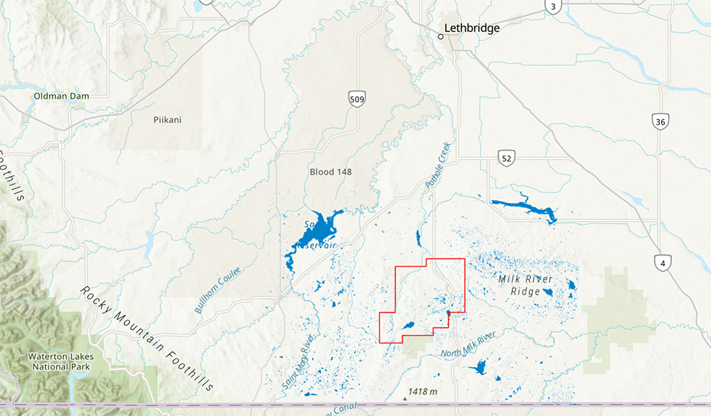 The location of the McIntyre Ranch outlined in red takes in a variety of wetlands and rolling fescue grassland | NCC
