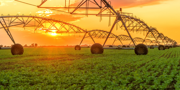 Irrigation infrastructure in a field at sunset